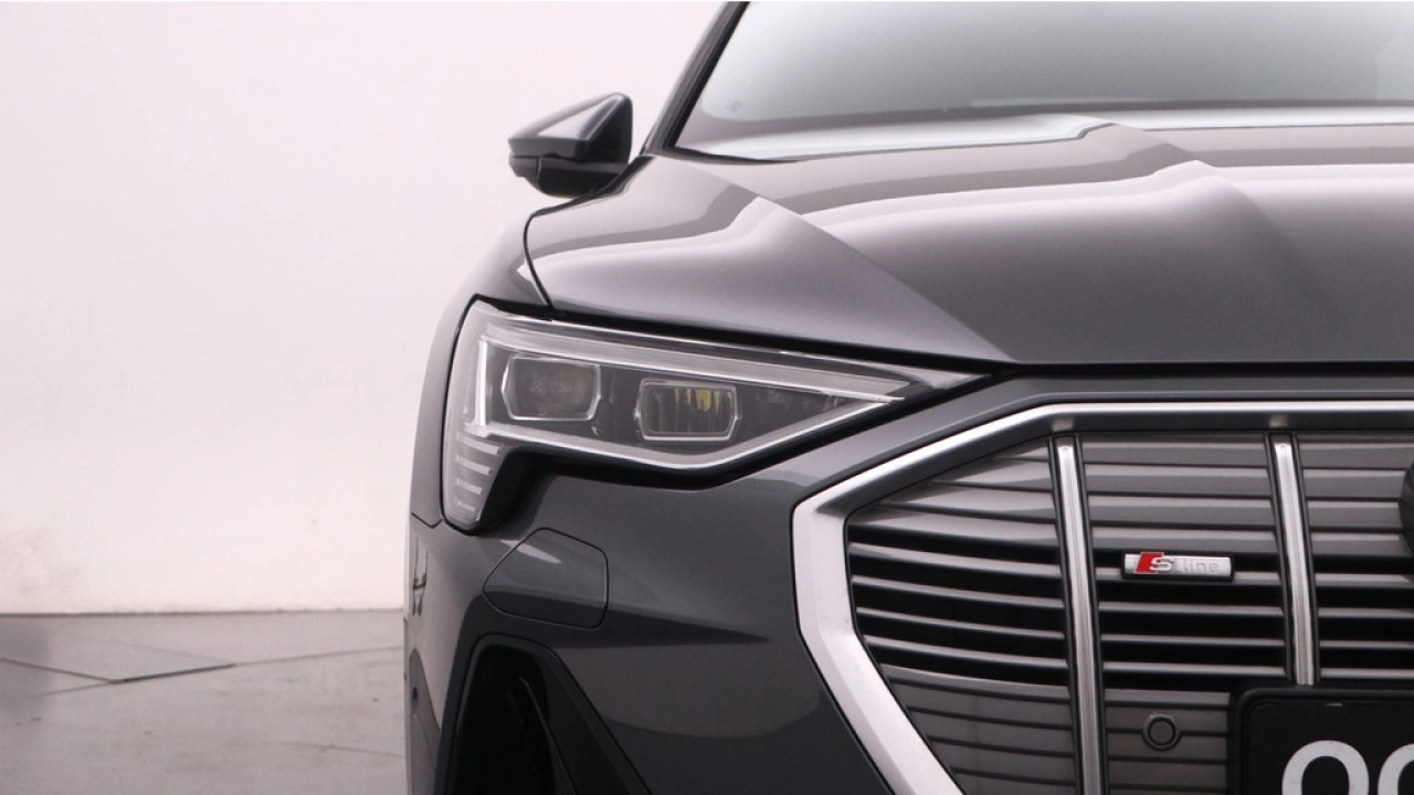 Audi e-tron Sportback 55 quattro S edition 95 kWh | Panorama dak | 22