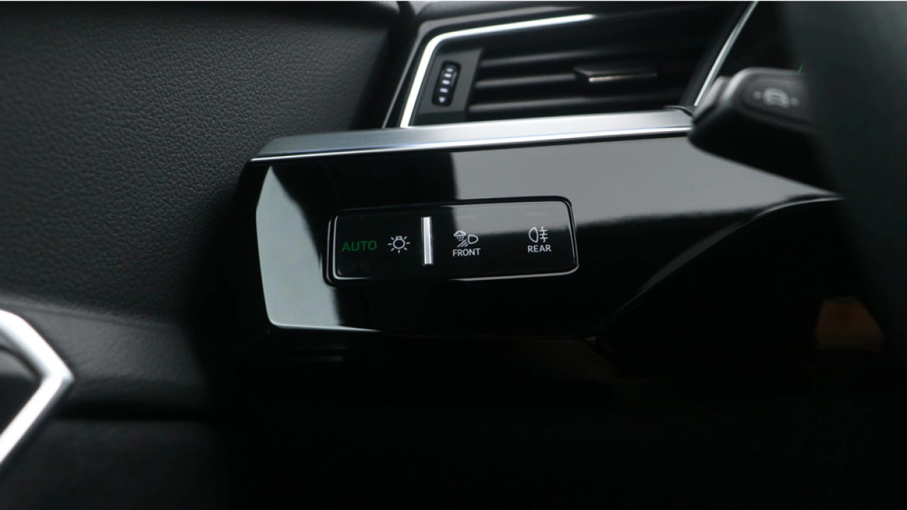 Audi e-tron Sportback 55 quattro S edition 95 kWh | Panorama dak | 22