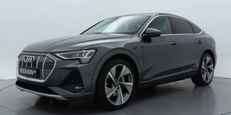 Audi e-tron Sportback 55 quattro S edition 95 kWh | Panorama dak | 22