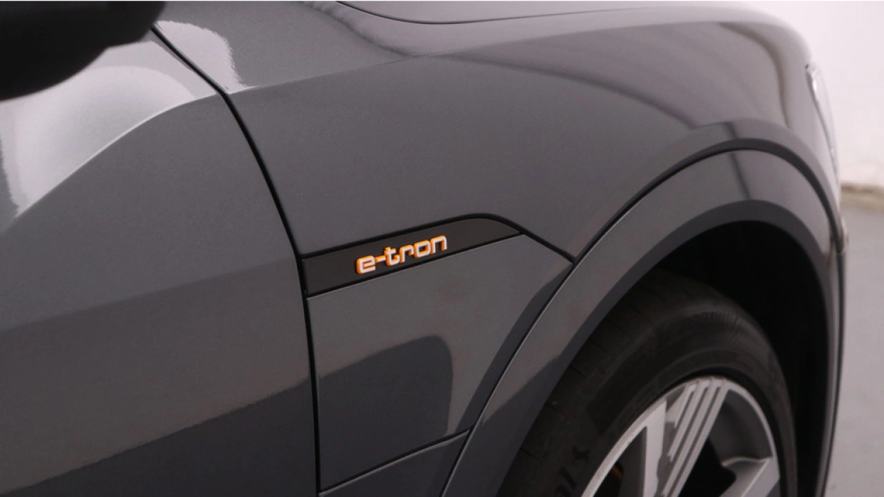 Audi e-tron Sportback 55 quattro S edition 95 kWh | Panorama dak | 22