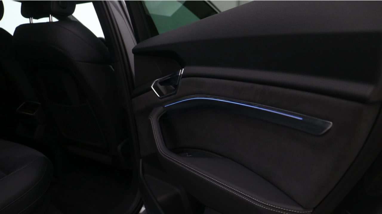 Audi e-tron Sportback 55 quattro S edition 95 kWh | Panorama dak | 22
