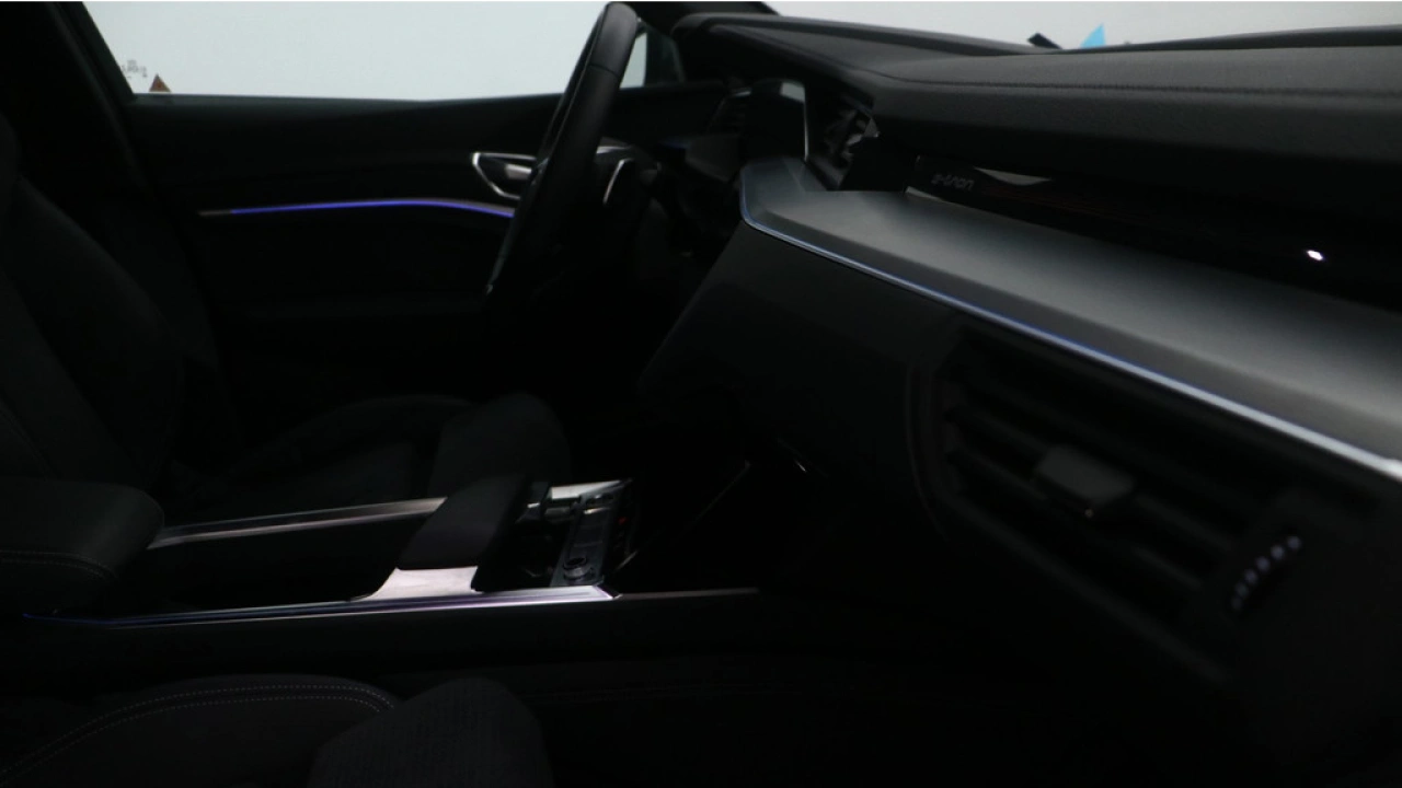 Audi e-tron Sportback 55 quattro S edition 95 kWh | Panorama dak | 22