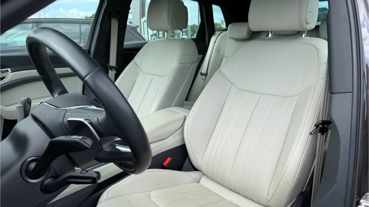 Audi Q8 e-tron 55 quattro Advanced Edition 115 kWh | Stoelventilatie | Trekhaak | B&O | Panorama dak |