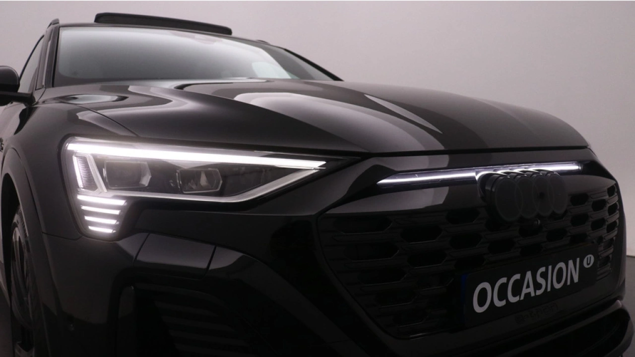 Audi Q8 e-tron 55 quattro S Edition 115 kWh | Panoramadak | 22