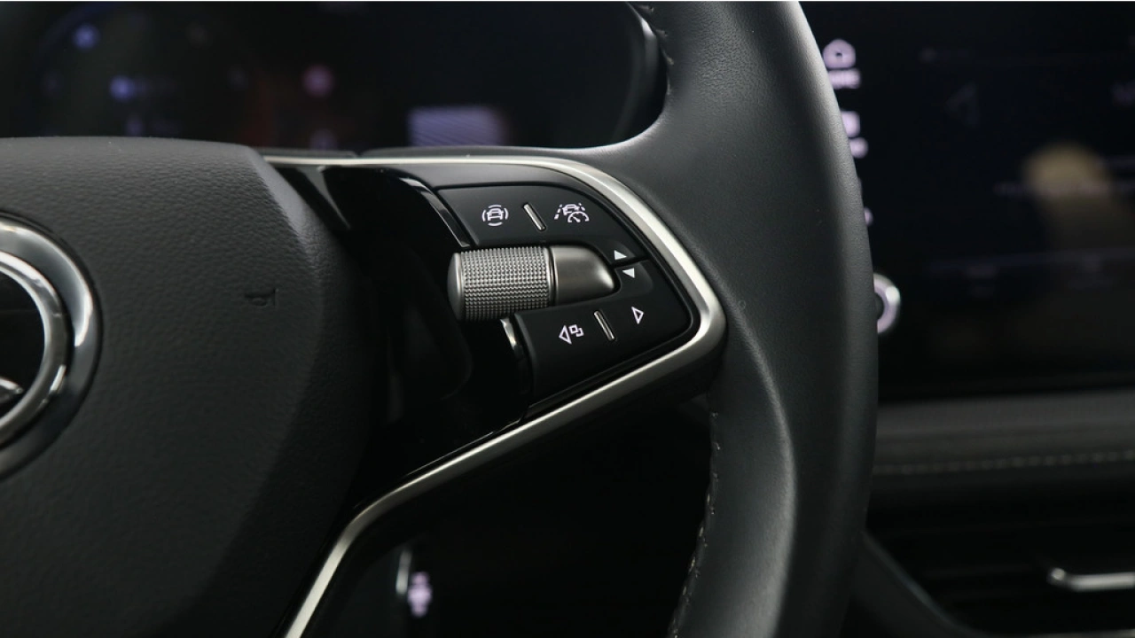 Škoda Fabia 1.0 TSI 95pk Business Edition