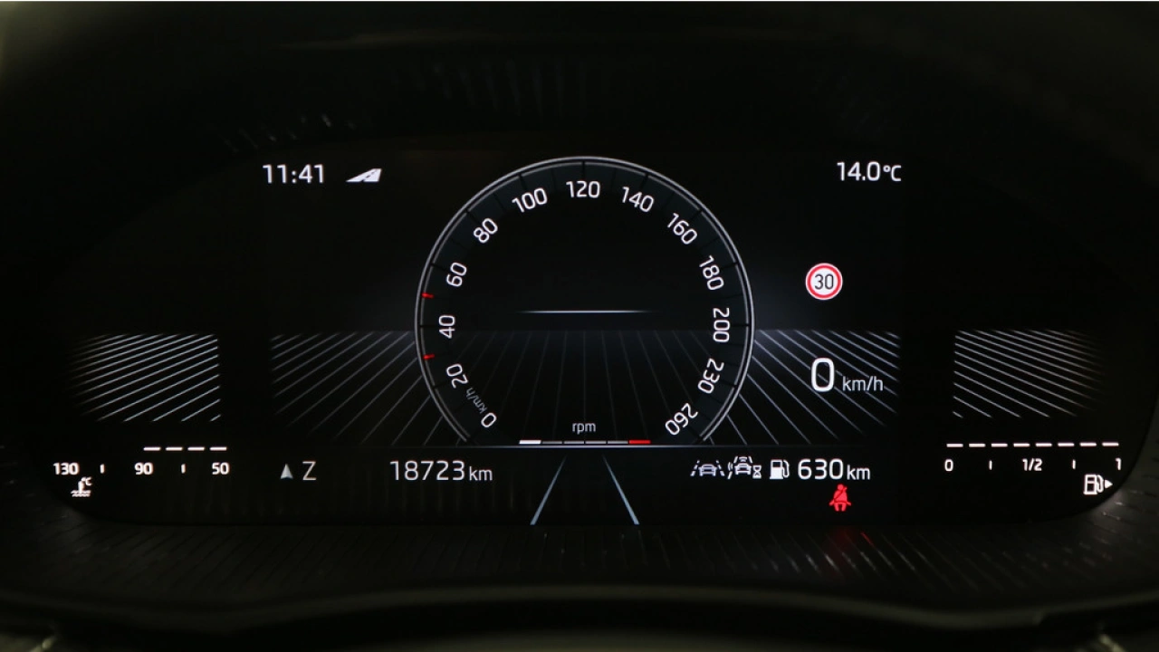 Škoda Fabia 1.0 TSI 95pk Monte Carlo