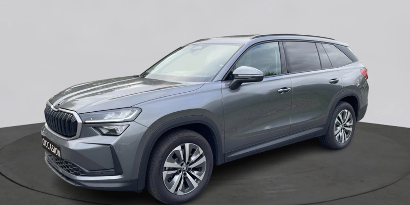 Škoda Kodiaq 1.5 TSI 150pk MHEV Business Edition 7p. DSG