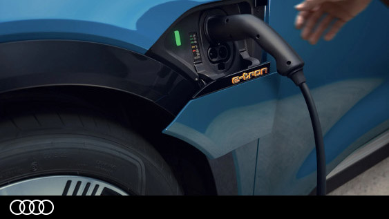 Van den Udenhout | Elektrische auto's