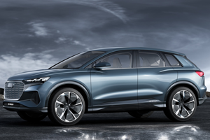 Van den Udenhout | Elektrische auto's