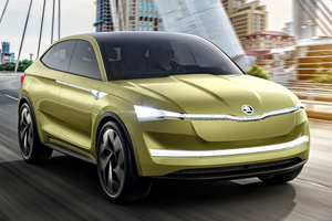 Van den Udenhout | Elektrische auto's