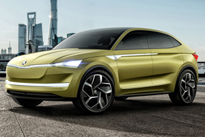 Van den Udenhout | Elektrische auto's